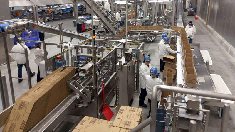 Conveyor Packaging Systems Food Production Integration Machinery