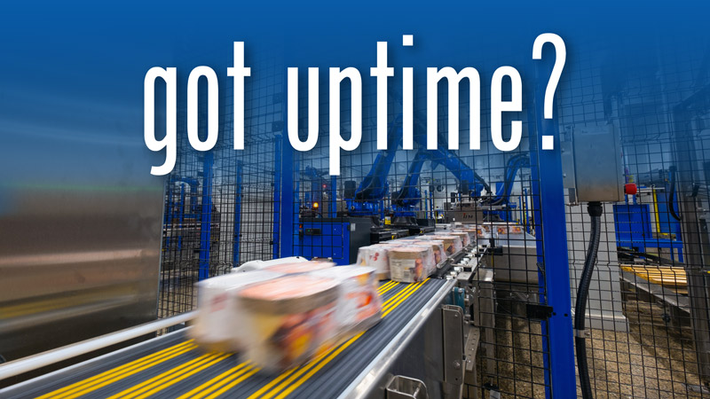 Ice Cream Secondary Packaging System IPM